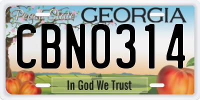 GA license plate CBN0314