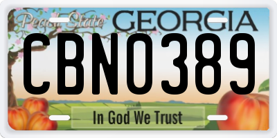 GA license plate CBN0389