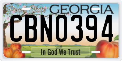 GA license plate CBN0394