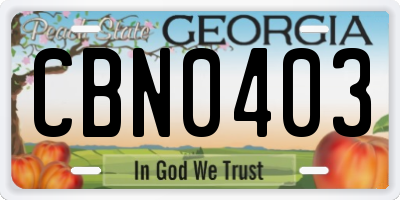 GA license plate CBN0403