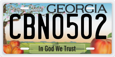 GA license plate CBN0502