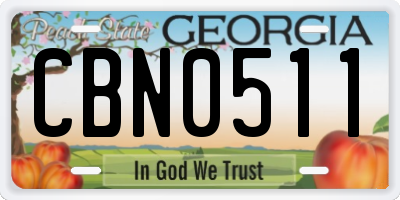 GA license plate CBN0511