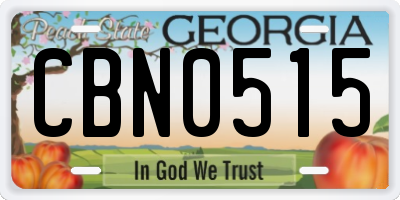 GA license plate CBN0515