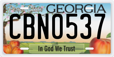 GA license plate CBN0537