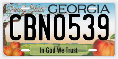 GA license plate CBN0539