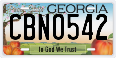 GA license plate CBN0542