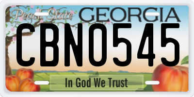 GA license plate CBN0545