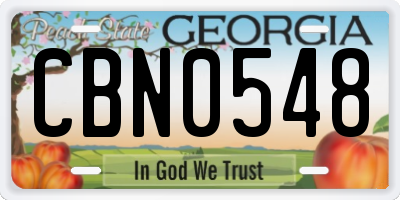 GA license plate CBN0548