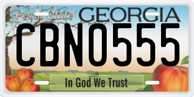GA license plate CBN0555