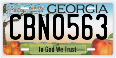 GA license plate CBN0563