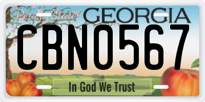GA license plate CBN0567