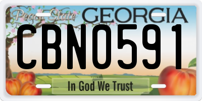 GA license plate CBN0591