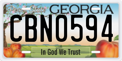 GA license plate CBN0594