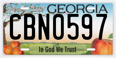 GA license plate CBN0597