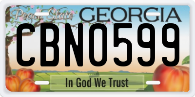 GA license plate CBN0599