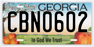 GA license plate CBN0602