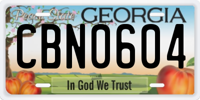 GA license plate CBN0604