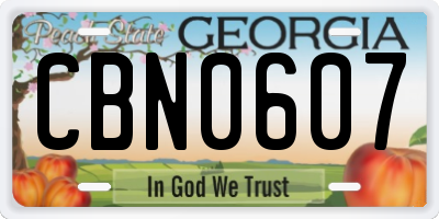 GA license plate CBN0607