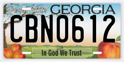 GA license plate CBN0612
