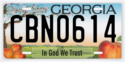 GA license plate CBN0614