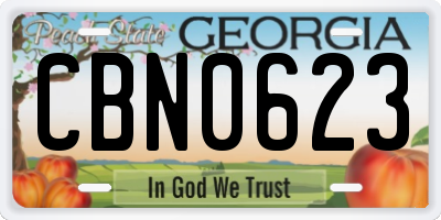 GA license plate CBN0623