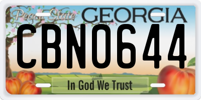 GA license plate CBN0644