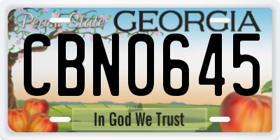 GA license plate CBN0645