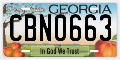 GA license plate CBN0663