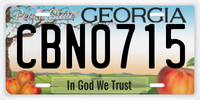 GA license plate CBN0715
