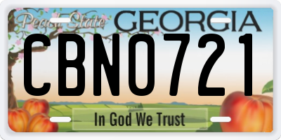 GA license plate CBN0721