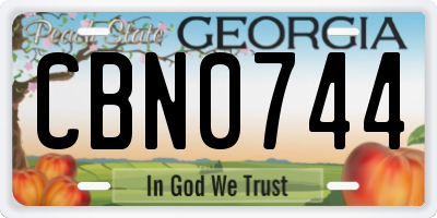 GA license plate CBN0744
