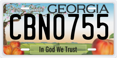 GA license plate CBN0755