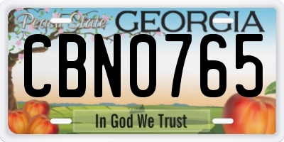 GA license plate CBN0765