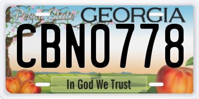 GA license plate CBN0778