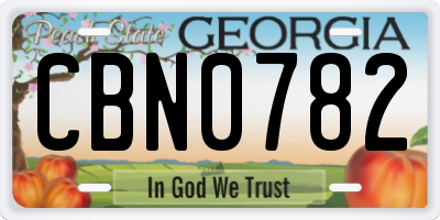 GA license plate CBN0782