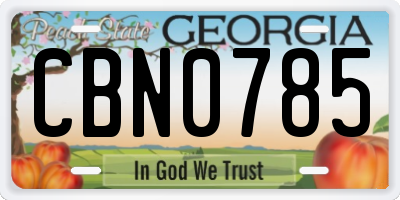 GA license plate CBN0785