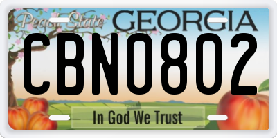 GA license plate CBN0802