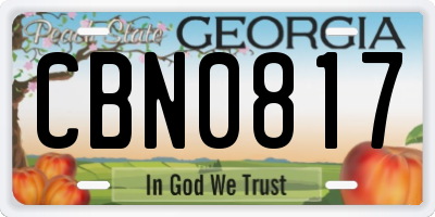 GA license plate CBN0817