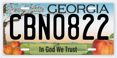 GA license plate CBN0822
