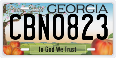 GA license plate CBN0823