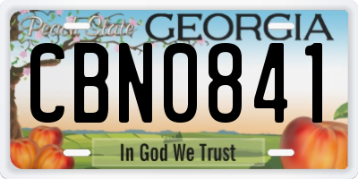 GA license plate CBN0841