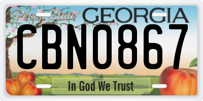 GA license plate CBN0867