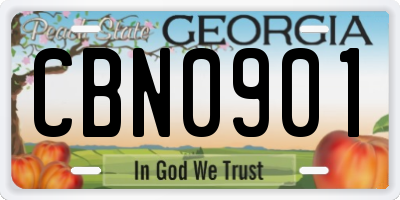 GA license plate CBN0901