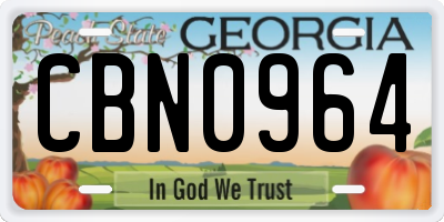 GA license plate CBN0964