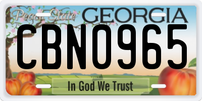 GA license plate CBN0965