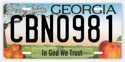 GA license plate CBN0981