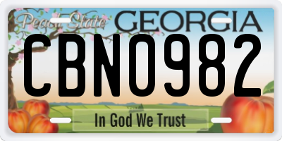 GA license plate CBN0982