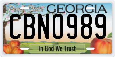 GA license plate CBN0989