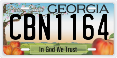GA license plate CBN1164