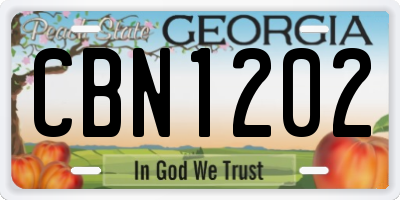 GA license plate CBN1202
